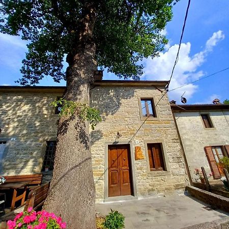 Casina La Quercia Apartment ซานตาโซเฟีย ภายนอก รูปภาพ