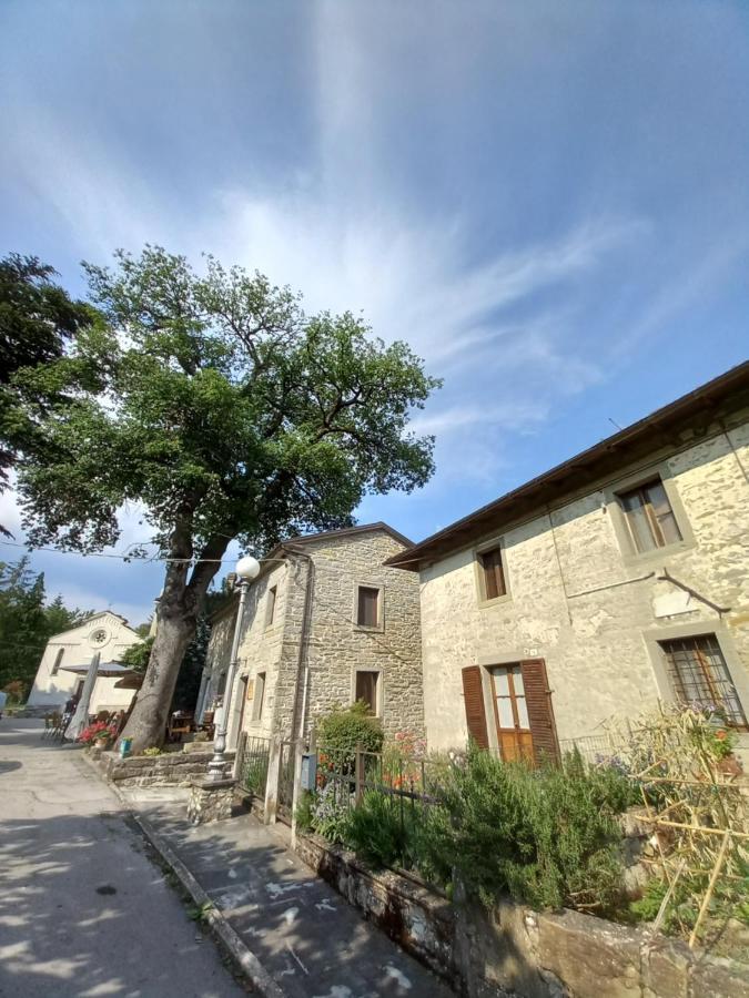 Casina La Quercia Apartment ซานตาโซเฟีย ภายนอก รูปภาพ
