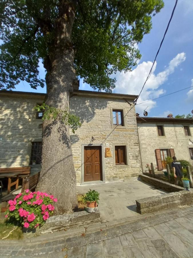Casina La Quercia Apartment ซานตาโซเฟีย ภายนอก รูปภาพ