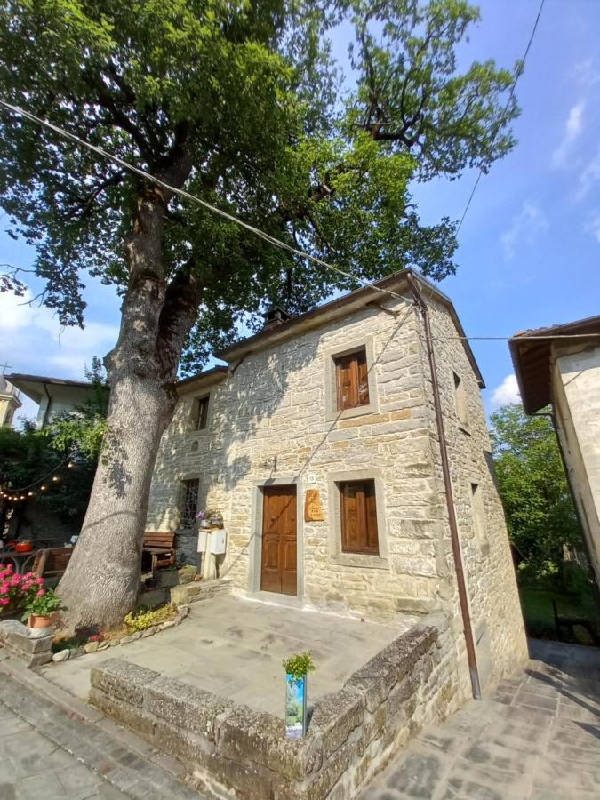 Casina La Quercia Apartment ซานตาโซเฟีย ภายนอก รูปภาพ