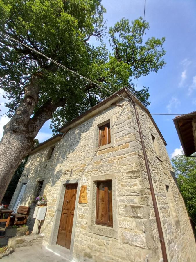 Casina La Quercia Apartment ซานตาโซเฟีย ภายนอก รูปภาพ